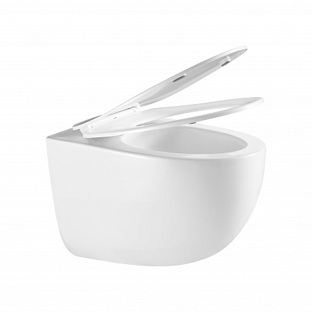 Подвесной унитаз безободковый Terminus Енисей Monolit 560х390 белый Георгиевск - фото 7 Подвесной унитаз безободковый Terminus Енисей Monolit 560х390 белый Георгиевск - фото 7