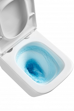 Подвесной унитаз безободковый Terminus Ватикан Monolit 490х340 белый Георгиевск - фото 8 Подвесной унитаз безободковый Terminus Ватикан Monolit 490х340 белый Георгиевск - фото 8