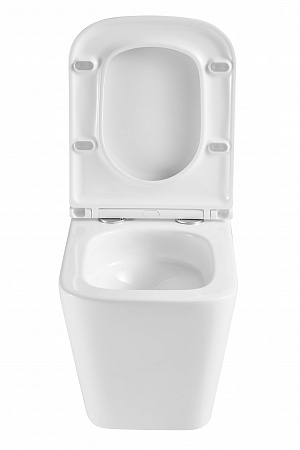 Подвесной унитаз безободковый Terminus Ватикан Monolit 490х340 белый Георгиевск - фото 7 Подвесной унитаз безободковый Terminus Ватикан Monolit 490х340 белый Георгиевск - фото 7