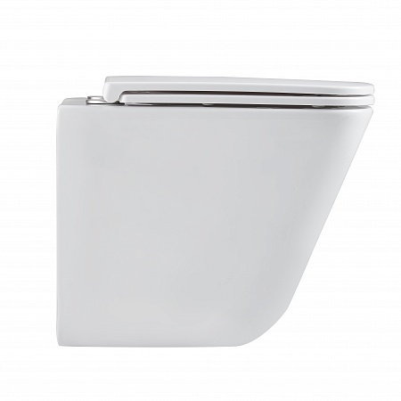 Подвесной унитаз безободковый Terminus Ватикан Monolit 490х340 белый Георгиевск - фото 4 Подвесной унитаз безободковый Terminus Ватикан Monolit 490х340 белый Георгиевск - фото 4