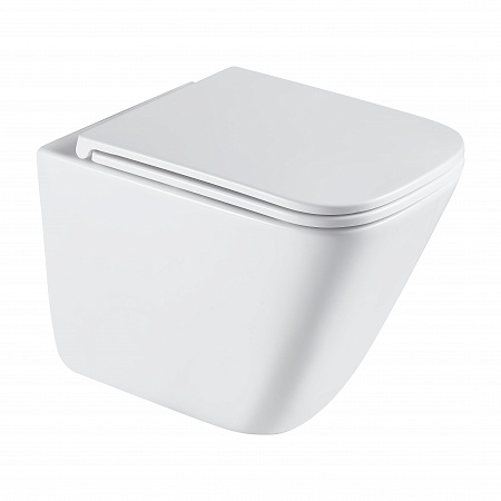 Подвесной унитаз безободковый Terminus Ватикан Monolit 490х340 белый Георгиевск - фото 2 Подвесной унитаз безободковый Terminus Ватикан Monolit 490х340 белый Георгиевск - фото 2