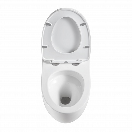 Подвесной унитаз безободковый Terminus Енисей Monolit 560х390 белый Георгиевск - фото 3 Подвесной унитаз безободковый Terminus Енисей Monolit 560х390 белый Георгиевск - фото 3