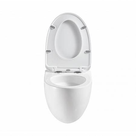 Подвесной унитаз безободковый Terminus Енисей Monolit 560х390 белый Георгиевск - фото 5 Подвесной унитаз безободковый Terminus Енисей Monolit 560х390 белый Георгиевск - фото 5