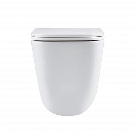 Подвесной унитаз безободковый Terminus Ватикан Monolit 490х340 белый Георгиевск - фото 6 Подвесной унитаз безободковый Terminus Ватикан Monolit 490х340 белый Георгиевск - фото 6