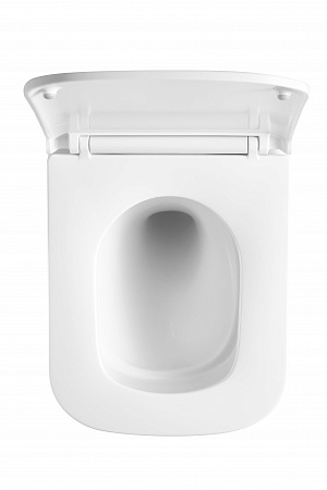 Подвесной унитаз безободковый Terminus Ватикан Monolit 490х340 белый Георгиевск - фото 3 Подвесной унитаз безободковый Terminus Ватикан Monolit 490х340 белый Георгиевск - фото 3